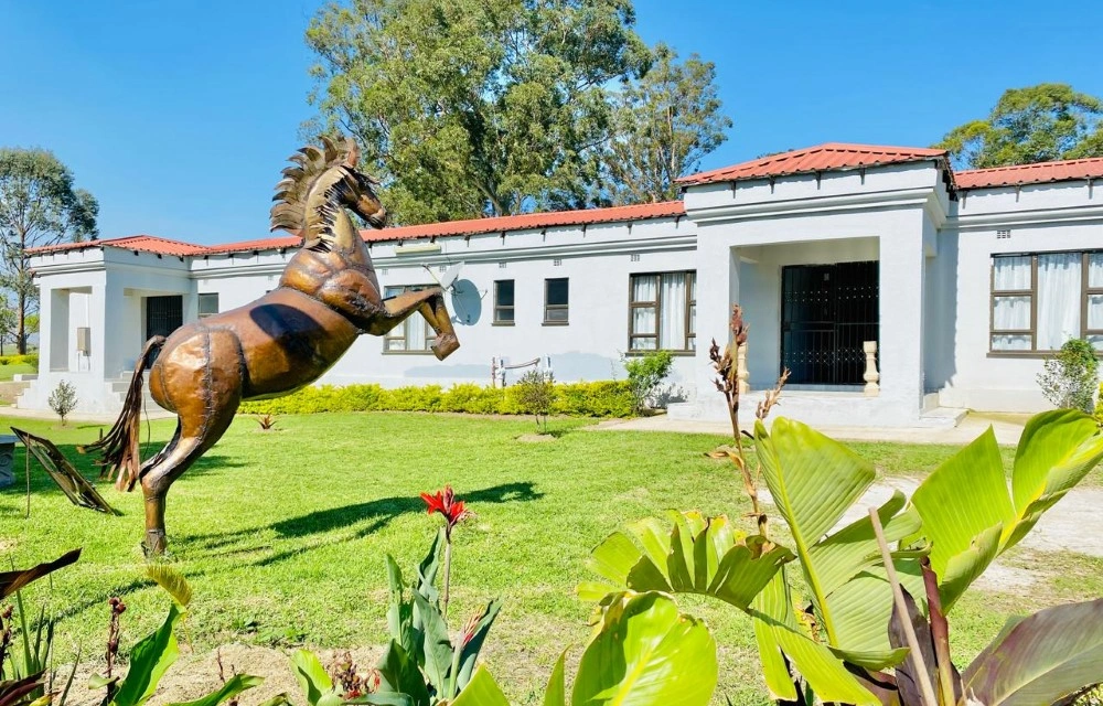 Unwinding in Urban Oases: How City Hotels Are Redefining Tranquility